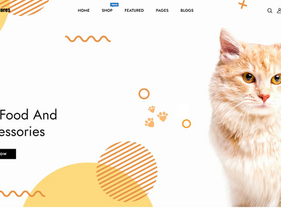 Cat Accessories